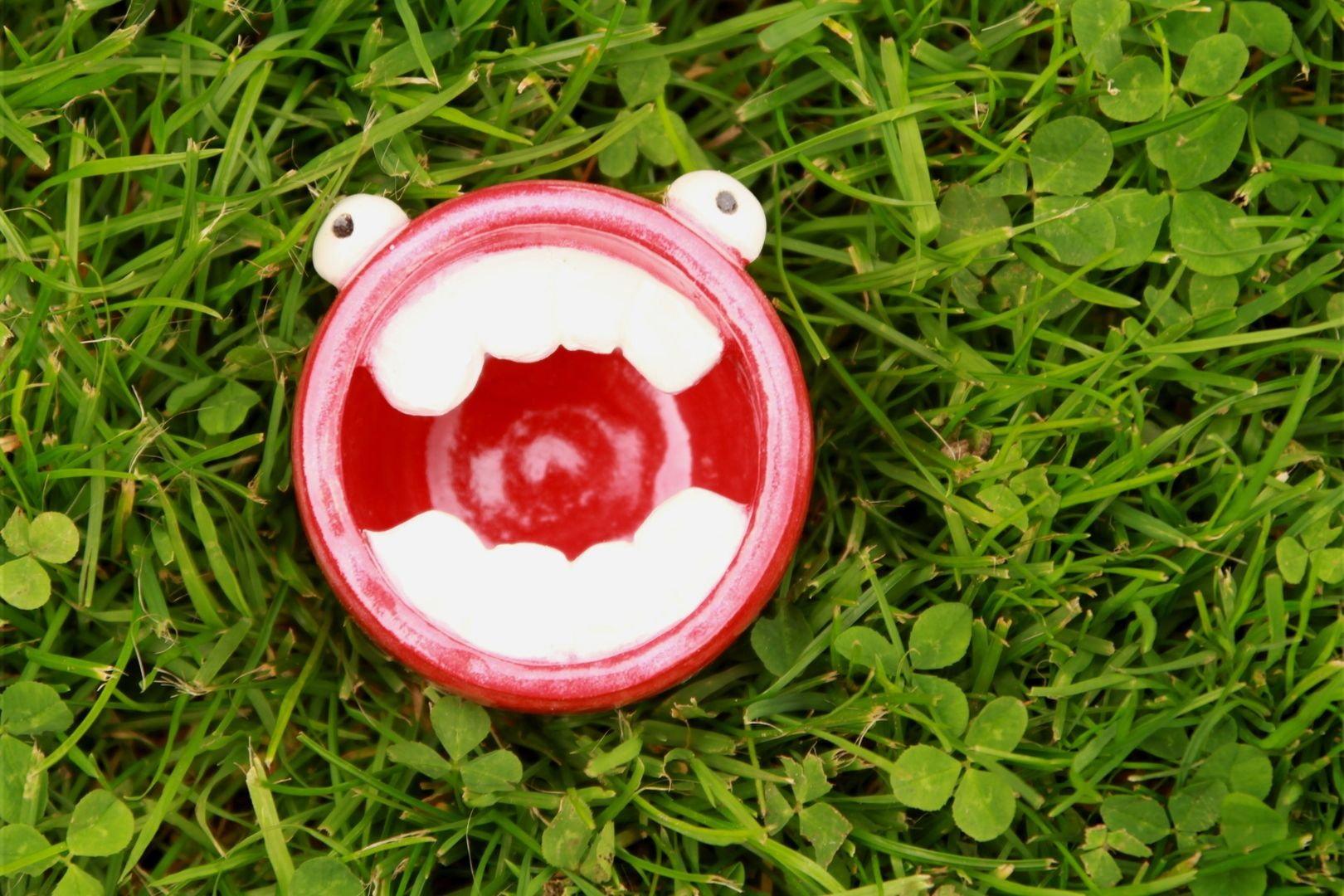pacifier