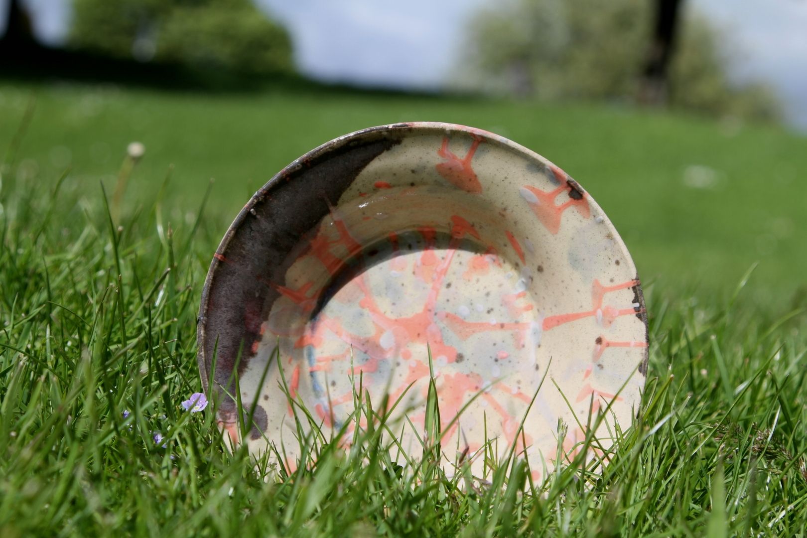 splatter-bowl