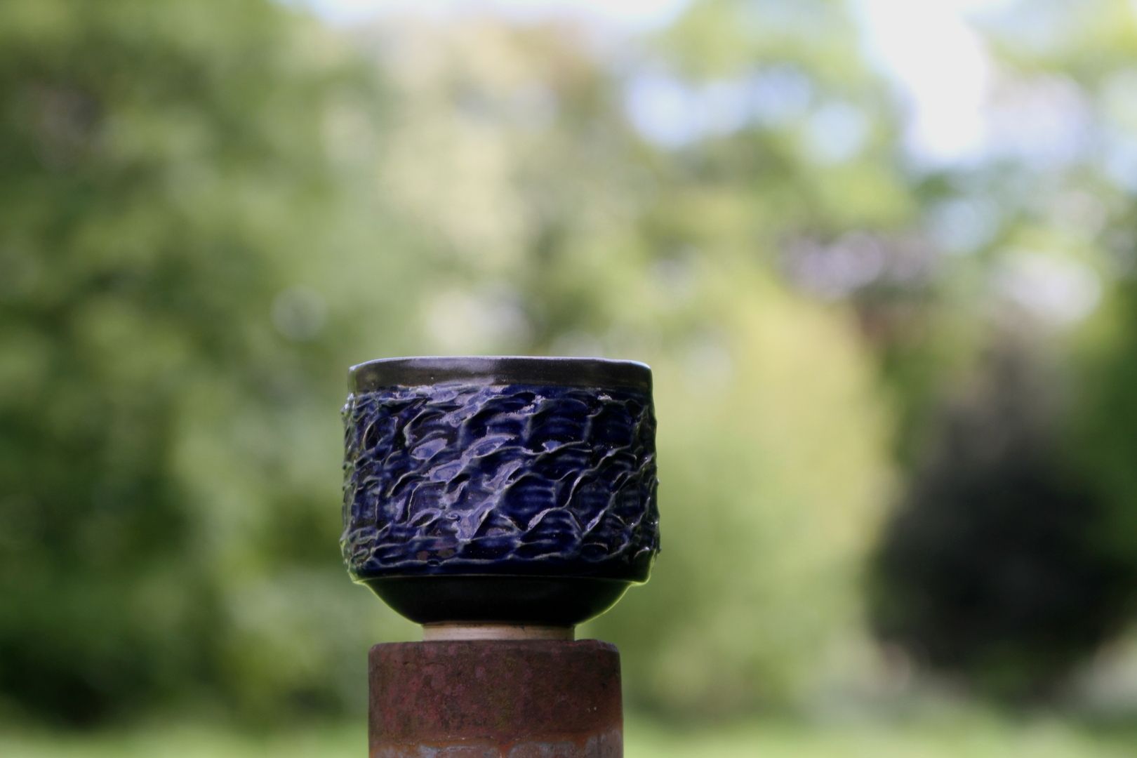 wavy-cup
